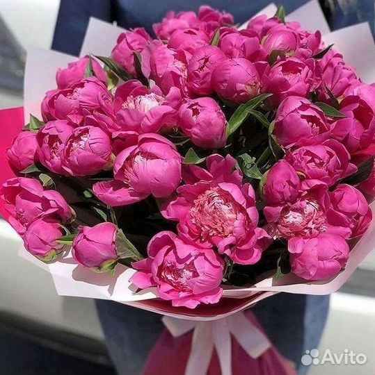 Пионы Цветы Доставка