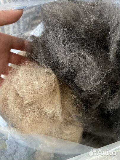 Собачий пух и шерсть