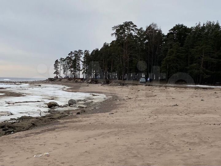 Участок 13 сот. (СНТ, ДНП)