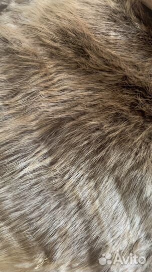 Шкурка бобра(искусственная)