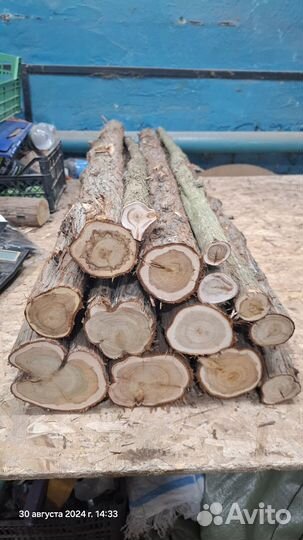 Можжевельник