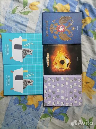 Школьный дневник и тетрадь в косую линейку