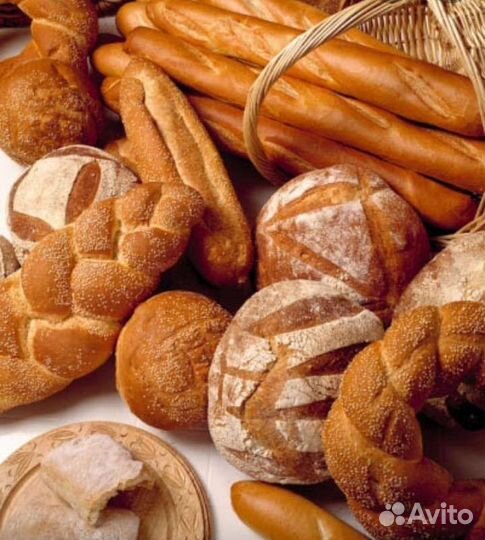 Хлеб и молочная на корм животным