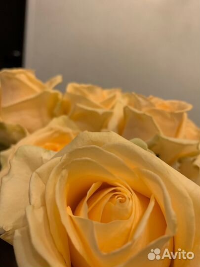 Астрология, нумерология и таро