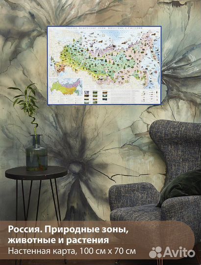 Карта природных зон России