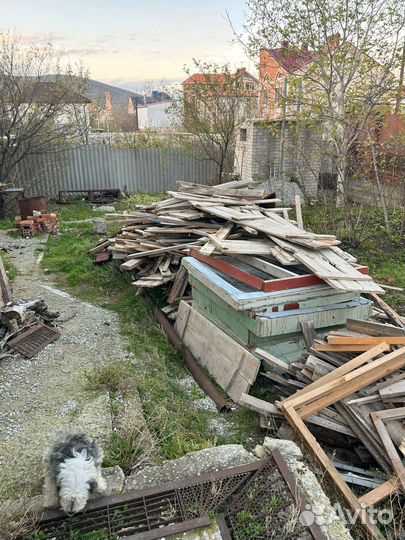 Дрова бесплатно