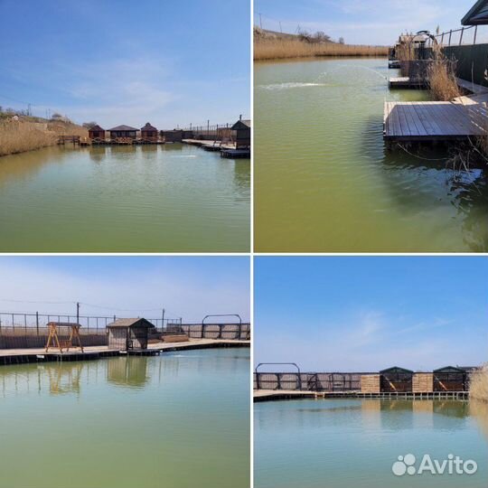 Платная рыбалка