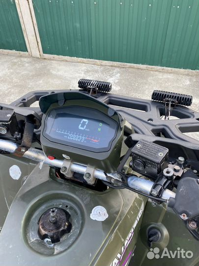 Avantis hunter 200 BIG