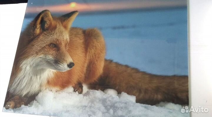 Закаленное стекло фотопечать