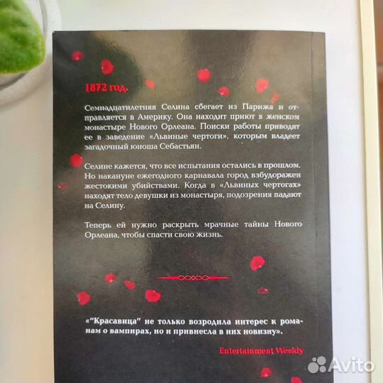 Книга Красавица Рене Ахдие