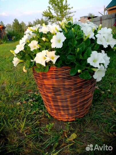 Кашпо из ротанга