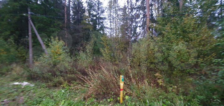 Участок 11,5 сот. (СНТ, ДНП)