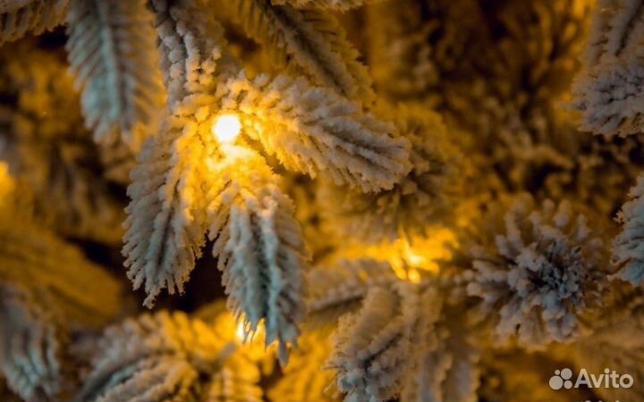 Ель Царская Premium Автоматика