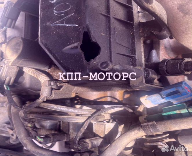 Двигатель Ford aoda