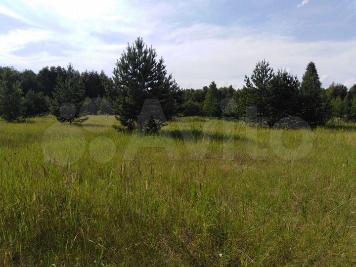 Участок 15 сот. (СНТ, ДНП)