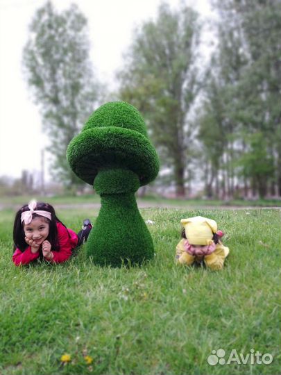 Топиарные фигуры Гриб