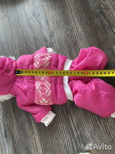 Одежда для собак