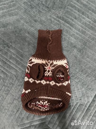 Одежда для сфинкса