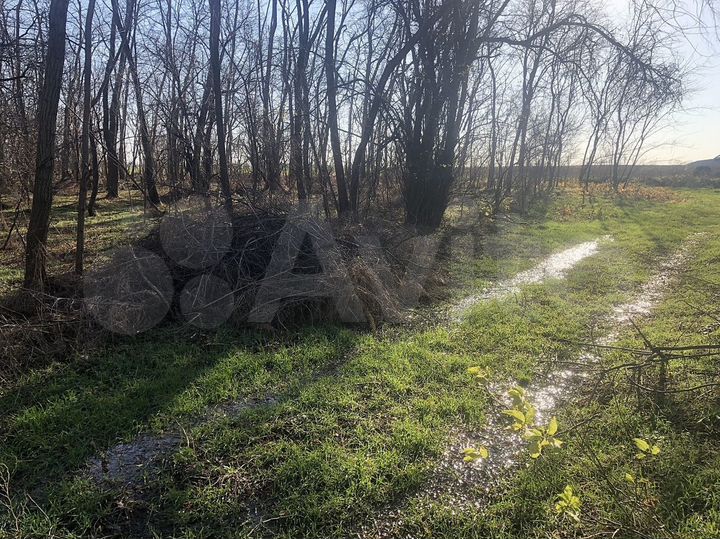 Участок 40 сот. (ИЖС)