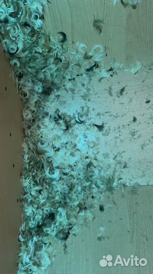 Сухая Чистка подушек