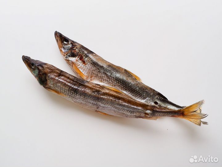 Корюшка Зубарь Камчатка, 1 кг (Россия)