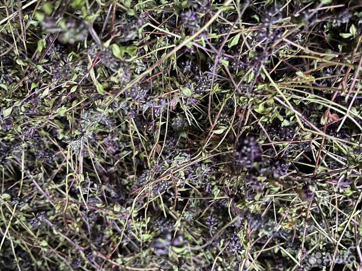 Чабрец чай, липа, душица, иван-чай