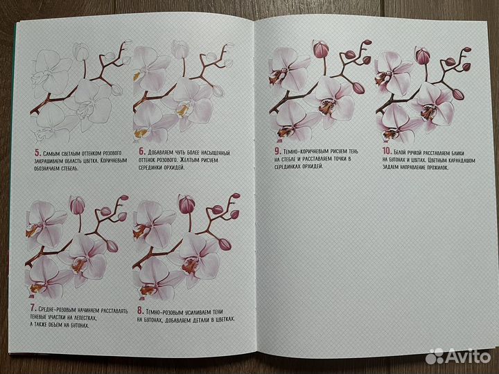 Книга по рисованию цветов Любовь Дрюма