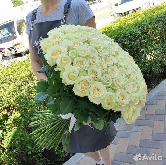 Розы 101 штука 60 см