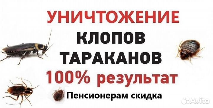 Уничтожение тараканов,клопов.Дезинфекция насекомых