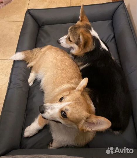 Лежанка для собак 120*80 см