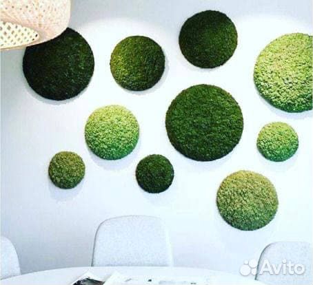 Панно из стабилизированного мха