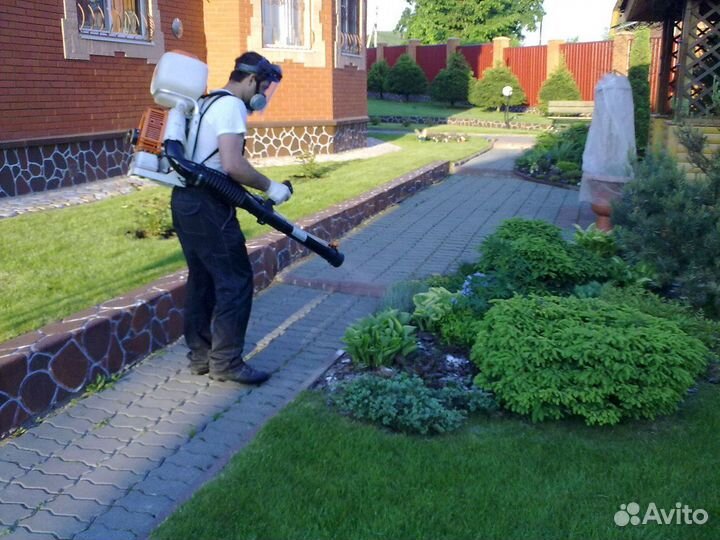 Обработка участка от клещей, комаров, мошек