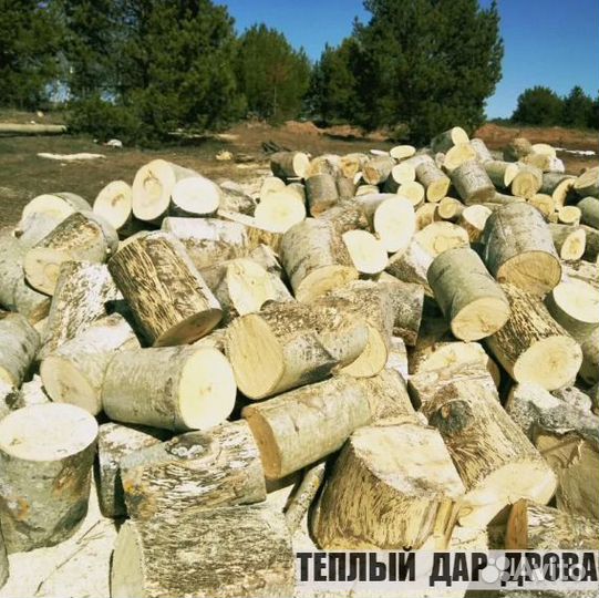 Дрова колотые