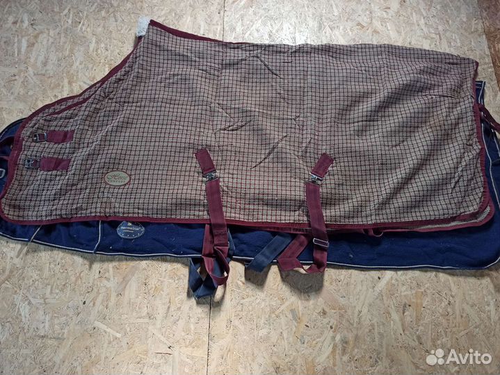 Попона для лошади