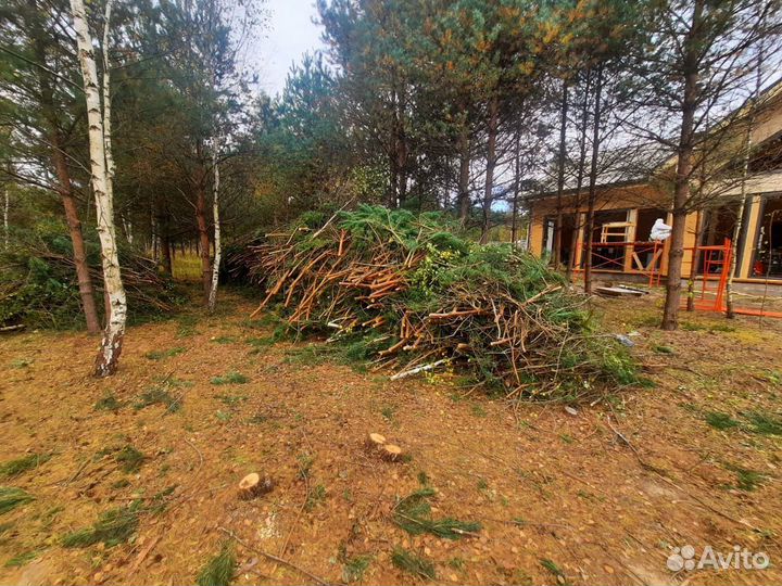 Расчистка участка, спил, благоустройство