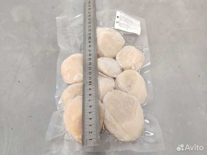 Морской гребешок