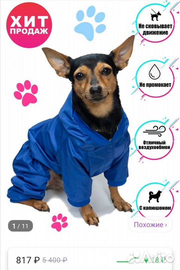 Дождевик для маленькой собаки