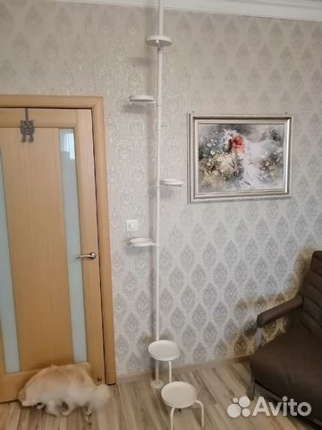 Распорная стойка для цветов купить в Санкт-Петербурге | Товары для дома ...