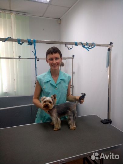 Стрижка, тримминг собак с выездом, либо у меня