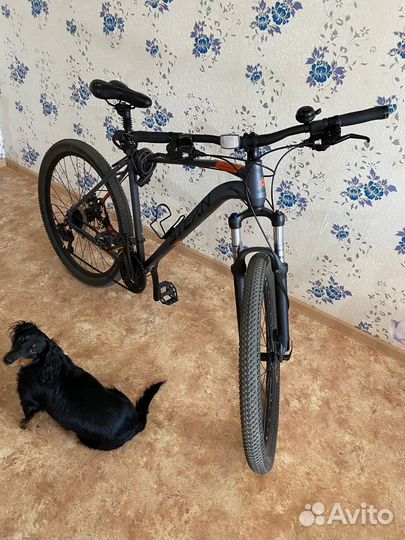 Stern motion 1.0 27,5“