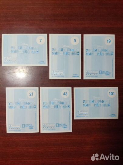 Коллекционные карточки 