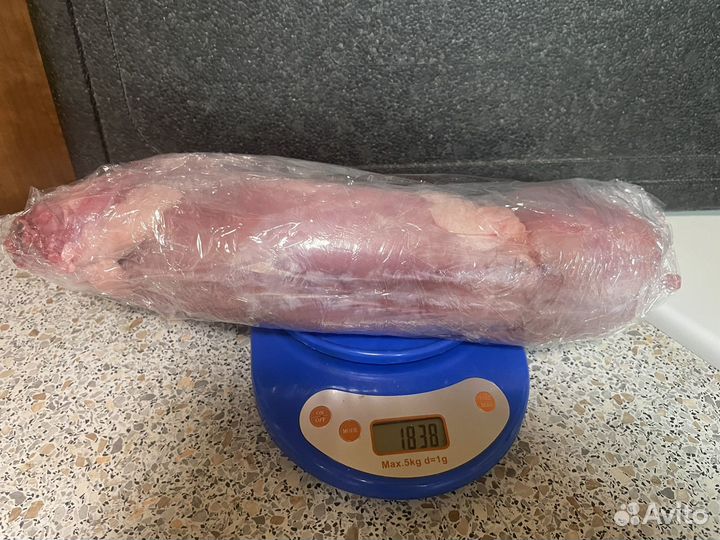 Кролики великаны белый панон