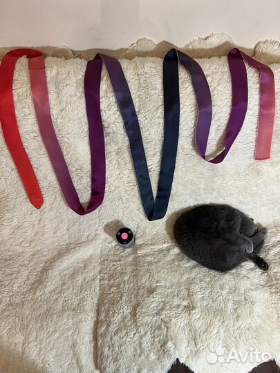 Лента sasaki 5 м и катушка для ленты Pastorelli