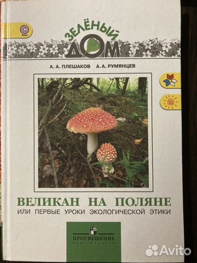 Плешаков А.А Три книги для начальной школы