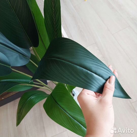 Искусственные растения. Стрелиция