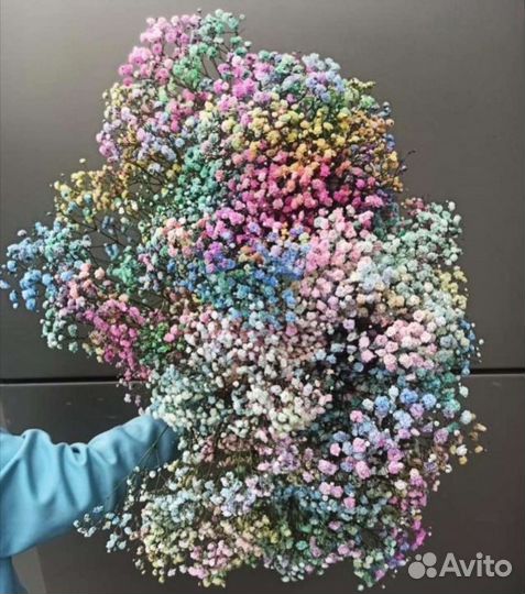 Гипсофила радужная WOW букет