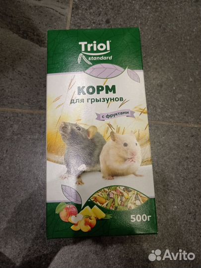 Сирийский хомяк малыш