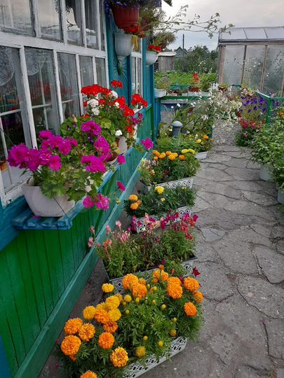 Дача 20 м² на участке 4 сот.