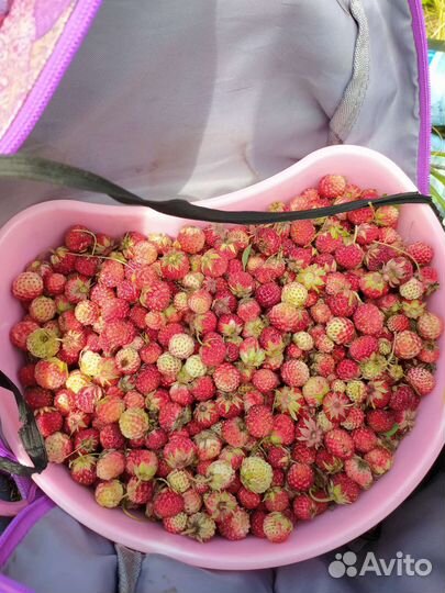 Уникальный квас