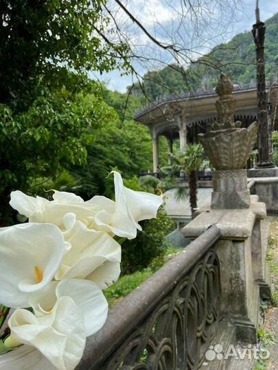 Золотое кольцо Абхазии